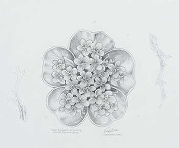 Concept Drawing—Centre Bouquet 
Final Drawing, The Ultimate Diamond Design / Étude de concept—Dessin final du bouquet central, Motif diamantaire, pièce Summum by Derek C. Wicks sold for $7,500