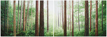 Lynn Valley by Erika Toliusis sold for $7,500