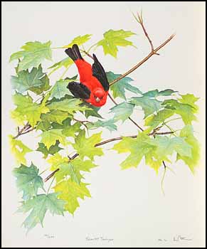 Scarlet Tanger by Martin Glen Loates sold for $58