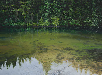 Tranquil Water by Erika Toliusis sold for $9,375