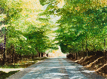 Maple Green by Ken (Kenneth) Edison Danby sold for $5,313