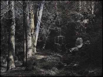 Dappled Sunlight, Bowood (01549/2013-2355) by Jennifer Dickson sold for $324