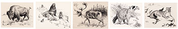 Five Works: Buffalo (#0140), Seals (#0785), Reindeer (#0143), Raccoon (#0144), Cougar (#0151) by Clarence Ingwall Tillenius sold for $1,000
