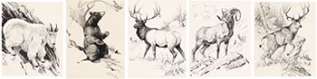 Five Works: Rocky Mountain Goat (#0155), Black Bear (#0145), Elk (#0146), Big Horn Sheep, Male (#0156), Mule Deer (#0142) by Clarence Ingwall Tillenius sold for $625