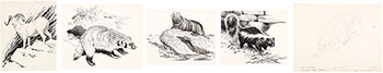 Five Works: Big Horn Sheep, Female (#0175), Badger (#0152), Sea Otter (#0149), Skunk (#0153), Untitled Sketch (#0744) by Clarence Ingwall Tillenius sold for $625