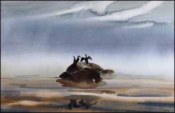 Three Comorants in Mist (01965/2013-570) by Stephanie Quainton Steel sold for $219