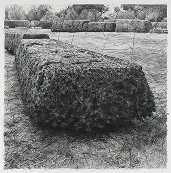 Small Mind by Robbin Yager sold for $250