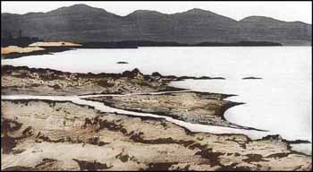 Gold River (02039/2013-957) by Douglas Forsythe sold for $188