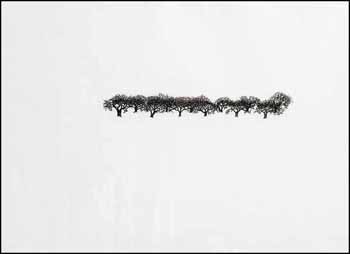 Treescape II (02205/2013-1338) by Ron Baird sold for $344