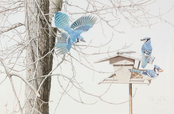 Blue Jays at My Feeder (03355/238) by Martin Glen Loates sold for $375