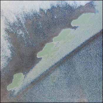 Asessippi Four 2 (02459/2013-792) by Don Proch sold for $63