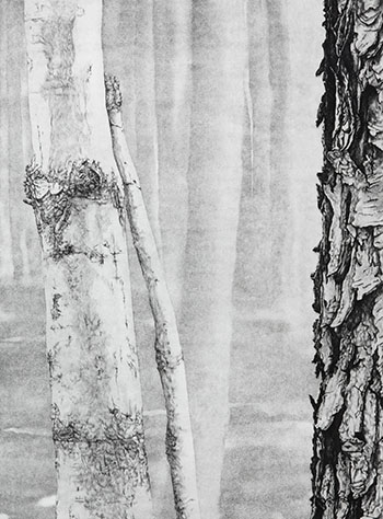 Woodlot II (04008) by Jo Manning sold for $240