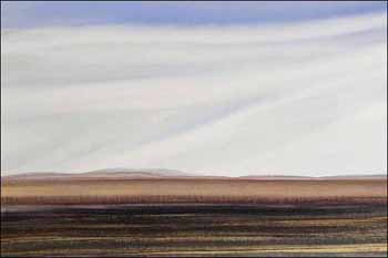 Wish Bone Sky (02599/2013-1623) by Harry Savage sold for $313