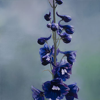Delphinium by James Lahey vendu pour $3,750