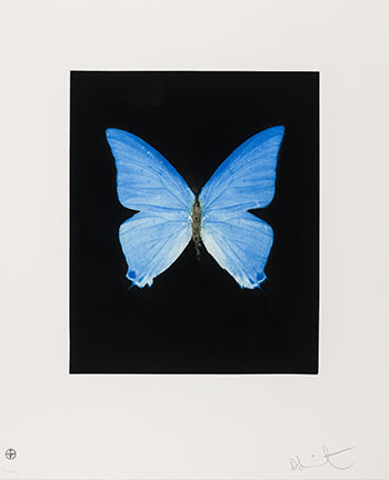 Providence (from the Butterfly Portfolio) by Damien Hirst vendu pour $5,000
