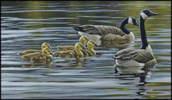 Canada Geese with Young by Robert Bateman vendu pour $29,500
