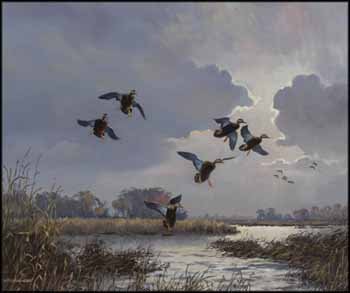 Black Ducks in the Afternoon (Near Cochrane, Ontario) by Hugh Monahan sold for $875