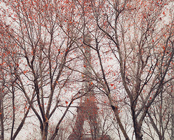 Eiffel Tower 01, Paris, France by David Burdeny vendu pour $2,250