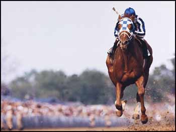 Secretariat, Kentucky Derby by Neil Leifer sold for $4,973