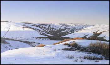 Peace Country Serenity (00702/2013-689) by Desmond McCaffrey sold for $375