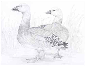 Two Ducks (01756/2013-231) by Heather McClure vendu pour $94