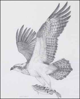 Hawk and Fish (01730/2013-359) by Heather McClure vendu pour $162