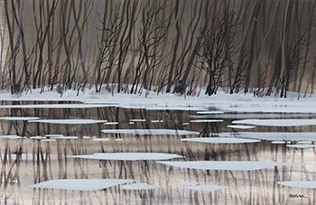 Reflections by Bruno Joseph Bobak vendu pour $6,875