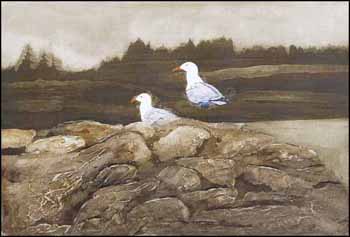 Gulls at Blue Rocks (02250/2013-172) by Douglas Forsythe vendu pour $63