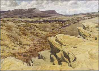 Sandstone Bluff (02469/2013-803) by Stanford James Perrott vendu pour $486