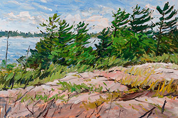 Wreck Island, Georgian Bay (03814/A88-165) by Bruce Steinhoff sold for $1,125