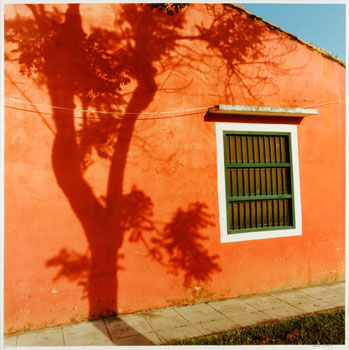 Tree Shadow on Red Wall (03362) by Rafael Goldchain sold for $500