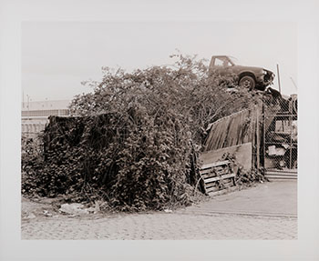 Junkyard, Vancouver, 1999 by Roy Arden sold for $3,438