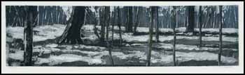 Forest Floor (00561/2013-T658) by Douglas Forsythe vendu pour $81
