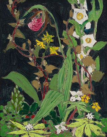 Moccasin Flower or Orchids, Algonquin Park par Thomas John (Tom) Thomson