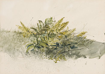 Fern by Thomas de Vany Forrestall