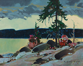 Dark Classic by Robert Genn