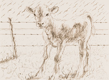 Barb by Joseph Hector Yvon (Joe) Fafard