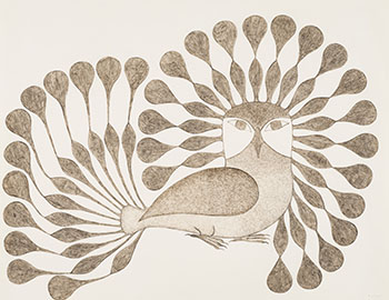 Untitled by Kenojuak Ashevak