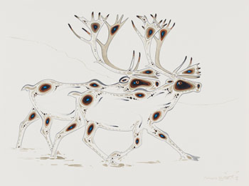  Caribou par Eddy Cobiness