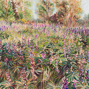 Lupines - Study III by Jamie Evrard