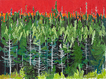 NFLD by Kim Dorland