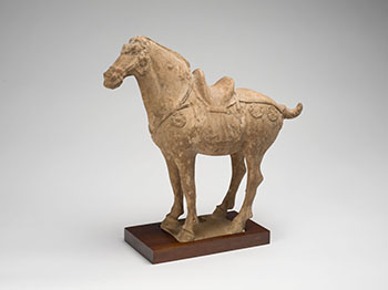 A Chinese Buff Earthenware Model of a Horse, Tang Dynasty (618-907 CE) par  Chinese Art