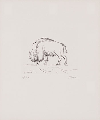 Bison by Henry  Moore