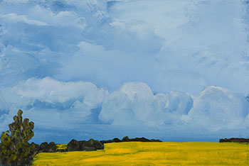 Evening Sky over Canola par Greg Hardy