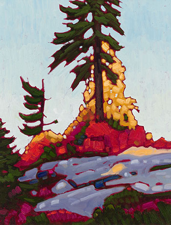 Seymour Mountain Pines by Nicholas J. Bott