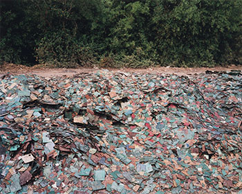 China Recycling #9, Circuit Boards, Guiyu, Guangdong Province, China par Edward Burtynsky