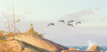 Blue Bills at the Bad River par Dwayne Harty