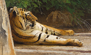 Long Thoughts, Bengal Tiger par Robert Frederick Kuhn
