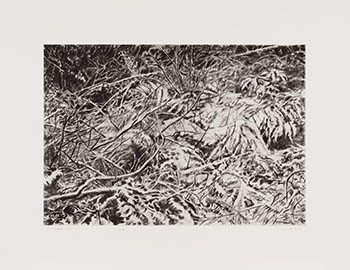 February Snow par Gordon Appelbe Smith