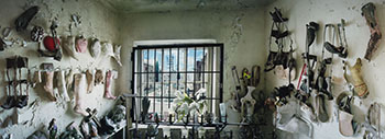 View from St. Roch Chapel, New Orleans par Scott McFarland